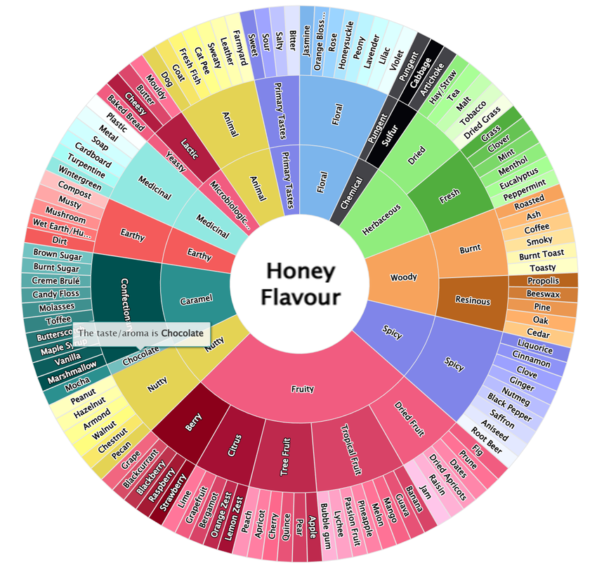 Honey Aroma Wheel